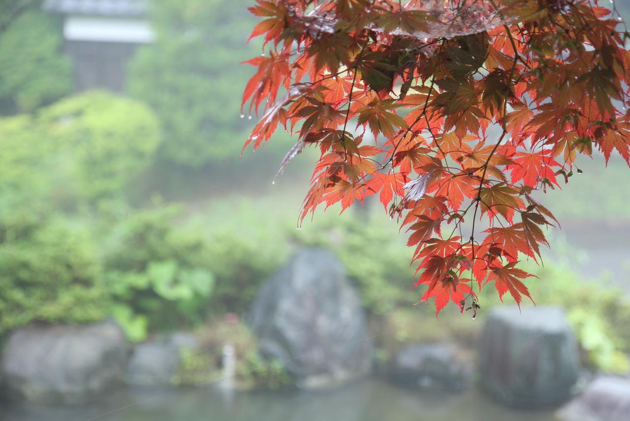 Suwakonomori Shikitei Hotell Suwa  Exteriör bild