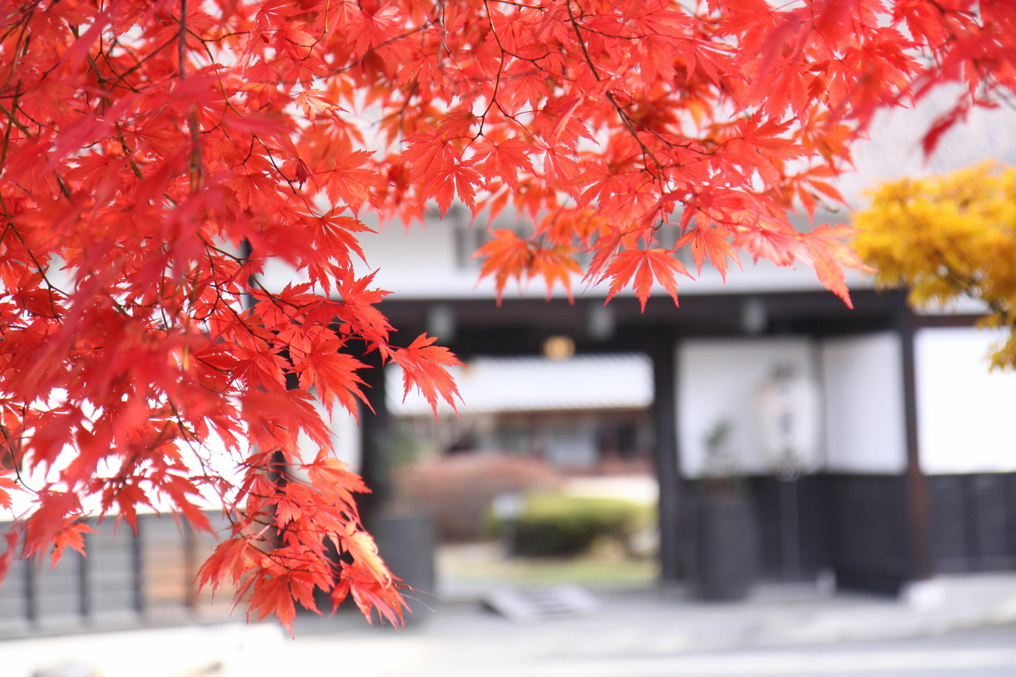 Suwakonomori Shikitei Hotell Suwa  Exteriör bild